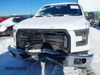2016 Ford F-150 XL with VIN 1FTEW1CG9GKE76975, listed as a IAAI auction lot 41341159 with 126,256 mi miles and . Bid and sale history available at carsss.com. Image 6.