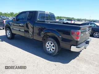 2013 Ford F-150 XL with VIN 1FTFX1EF4DFE09064, listed as a IAAI auction lot 42019665 with 249,430 mi miles. Bid and sale history available at carsss.com. Image 3.