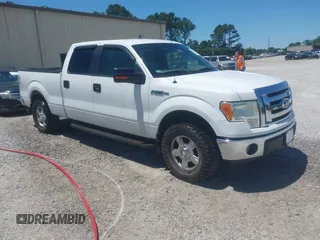 2011 Ford F-150 XL with VIN 1FTFW1EF9BKD41948, listed as a IAAI auction lot 42327783 with 203,673 mi miles and . Bid and sale history available at DreamBid. Image 1.