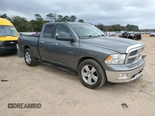 2010 Dodge 1500 SLT with VIN 1D7RB1GT4AS162734, listed as a Copart auction lot 47858455 with 131,217 mi miles and Salvage Title. Bid and sale history available at carsss.com. Image 4.