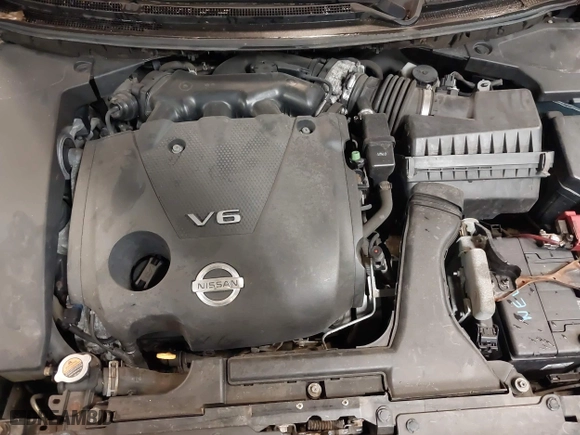 2009 Nissan Maxima 3.5 SV with VIN 1N4AA51E09C821755, listed as a IAAI auction lot 42016487 with 118,459 mi miles. Bid and sale history available at carsss.com. Image 10.