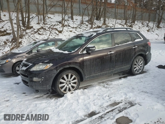 2009 Mazda CX-9 Touring with VIN JM3TB38V790165623, listed as a IAAI auction lot 41258693 with Not Provided miles. Bid and sale history available at carsss.com. Image 2.