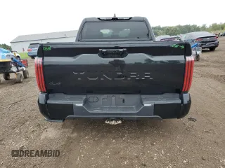2022 Toyota Tundra Platinum with VIN 5TFNA5DB9NX028910, listed as a Copart auction lot 73638914 with 25,404 mi miles and Salvage title. Bid and sale history available at DreamBid. Image 6.
