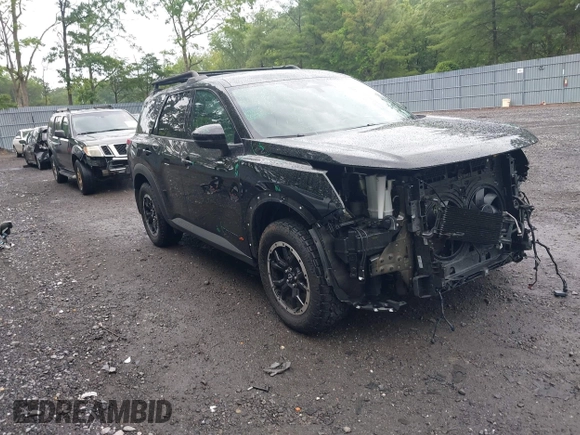 2024 Nissan Pathfinder Rock Creek with VIN 5N1DR3BDXRC295432, listed as a IAAI auction lot 42453531 with 18,917 mi miles and . Bid and sale history available at DreamBid. Image 1.