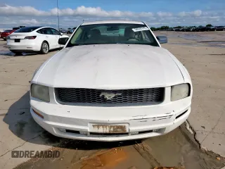 2009 Ford Mustang with VIN 1ZVHT80N695139910, listed as a Copart auction lot 58640245 with 174,769 mi miles and Clean title. Bid and sale history available at DreamBid. Image 5.