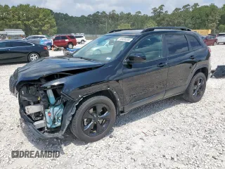 2019 Jeep Cherokee Latitude Plus with VIN 1C4PJLLN1KD317849, listed as a Copart auction lot 56499385 with 61,395 mi miles and Salvage title. Bid and sale history available at DreamBid. Image 1.