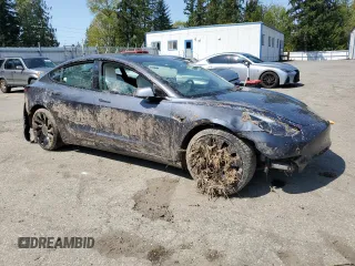 2022 Tesla Model 3 Performance with VIN 5YJ3E1EC1NF262416, listed as a Copart auction lot 54356025 with Not Provided miles and Salvage Title. Bid and sale history available at DreamBid. Image 4.