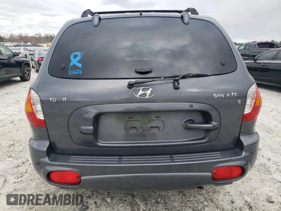 2003 Hyundai Santa Fe GLS with VIN KM8SC13D23U514882, listed as a Copart auction lot 76653463 with 126,223 mi miles and Salvage Title. Bid and sale history available at carsss.com. Image 6.