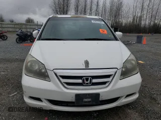 2005 Honda Odyssey EX-L with VIN 5FNRL38655B000691, listed as a Copart auction lot 47814195 with 233,384 mi miles and Clean Title. Bid and sale history available at carsss.com. Image 5.