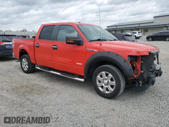 2013 Ford F-150 XL with VIN 1FTFW1CT9DKD58745, listed as a Copart auction lot 49869035 with 159,773 mi miles and Salvage Title. Bid and sale history available at carsss.com. Image 4.