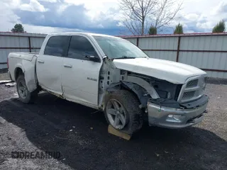 2009 Dodge 1500 SLT with VIN 1D3HV13T79J514023, listed as a IAAI auction lot 41933431 with 195,093 mi miles and . Bid and sale history available at carsss.com. Image 1.