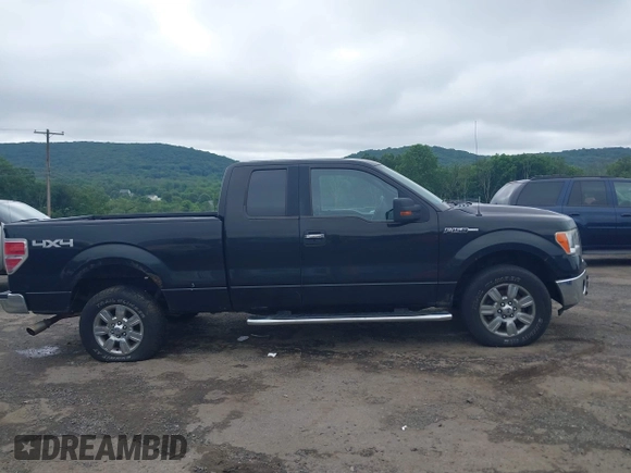 2010 Ford F-150 XL with VIN 1FTFX1EV8AFC46471, listed as a IAAI auction lot 42749255 with 169,134 mi miles and . Bid and sale history available at DreamBid. Image 13.