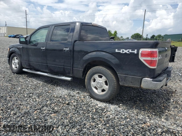 2010 Ford F-150 XL with VIN 1FTFW1EV1AFA04835, listed as a Copart auction lot 60063625 with 160,280 mi miles and Salvage title. Bid and sale history available at DreamBid. Image 2.