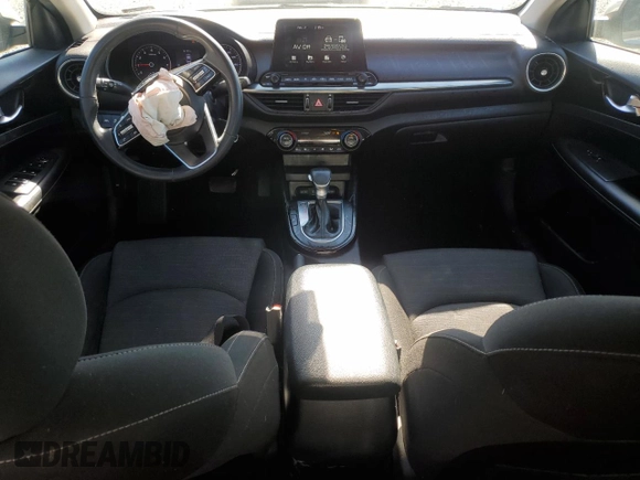 2019 Kia Forte S with VIN 3KPF34AD9KE063733, listed as a Copart auction lot 45728305 with 172,059 mi miles and Salvage Title. Bid and sale history available at carsss.com. Image 8.
