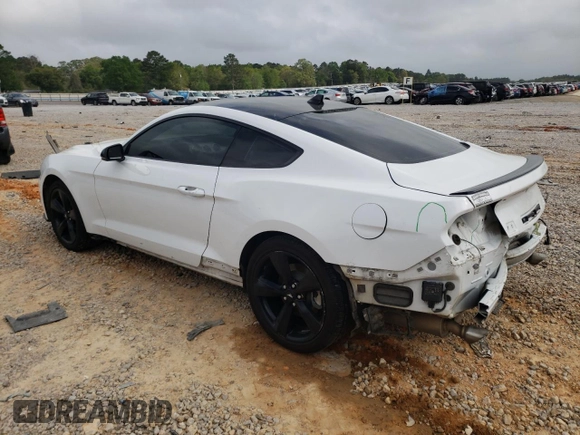 2023 Ford Mustang EcoBoost with VIN 1FA6P8TH8P5102168, listed as a Copart auction lot 51461255 with 54,446 mi miles and Salvage Title. Bid and sale history available at carsss.com. Image 2.