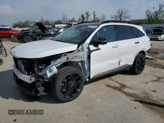 2024 Kia Sorento X-Line SX Prestige with VIN 5XYRKDJF4RG269900, listed as a Copart auction lot 52516335 with 264 mi miles and Salvage title. Bid and sale history available at DreamBid. Image 1.