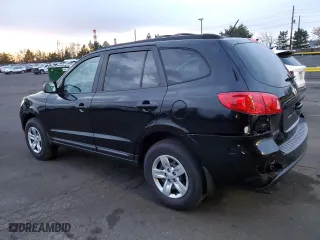 2009 Hyundai Santa Fe GLS with VIN 5NMSG13D29H275200, listed as a Copart auction lot 49262185 with 173,134 mi miles and Salvage Title. Bid and sale history available at carsss.com. Image 2.