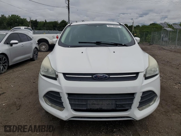 2014 Ford Escape SE with VIN 1FMCU9GX8EUC01083, listed as a Copart auction lot 54716365 with 50,487 mi miles and Clean Title. Bid and sale history available at DreamBid. Image 5.