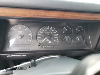 1993 Dodge Dakota with VIN 1B7GG23XXPS129182, listed as a Copart auction lot 88786935 with 176,015 mi miles and Salvage Title. Bid and sale history available at carsss.com. Image 9.