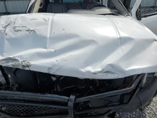 2009 Chevrolet Silverado 1500 Work Truck with VIN 1GCEK19069Z196320, listed as a Copart auction lot 46477195 with 0 mi miles and Salvage Title. Bid and sale history available at carsss.com. Image 13.