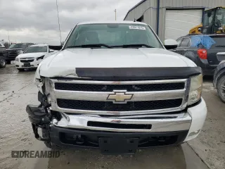 2009 Chevrolet Silverado 1500 LT with VIN 1GCEK29J49Z128984, listed as a Copart auction lot 43071015 with 172,641 mi miles and Salvage Title. Bid and sale history available at carsss.com. Image 5.