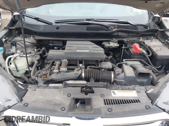 2019 Honda CR-V EX with VIN 5J6RW2H53KL019509, listed as a IAAI auction lot 41852022 with 34,969 mi miles. Bid and sale history available at carsss.com. Image 10.