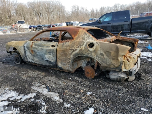2016 Dodge Challenger R/T Plus with VIN 2C3CDZBT5GH101798, listed as a Copart auction lot 53256135 with Not provided miles and Non repairable. Bid and sale history available at DreamBid. Image 2.