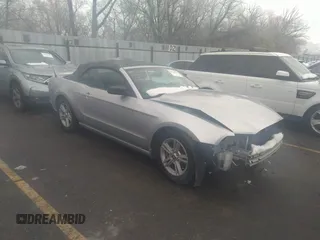 2013 Ford Mustang V6 with VIN 1ZVBP8EM8D5217087, listed as a IAAI auction lot 35534794 with Not provided miles and . Bid and sale history available at DreamBid. Image 1.