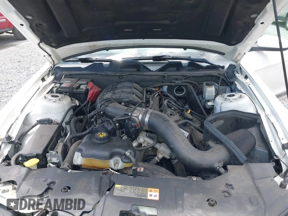 2013 Ford Mustang V6 with VIN 1ZVBP8AM6D5256735, listed as a IAAI auction lot 42322736 with 88,161 mi miles and . Bid and sale history available at DreamBid. Image 10.