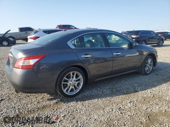 2010 Nissan Maxima 3.5 SV with VIN 1N4AA5AP2AC825604, listed as a Copart auction lot 52800575 with 220,373 mi miles and Salvage Title. Bid and sale history available at carsss.com. Image 3.