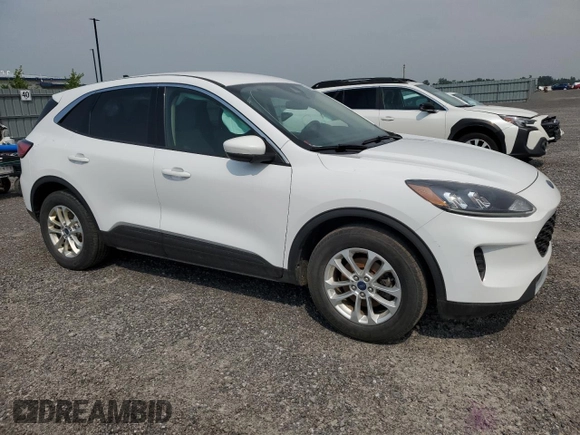2020 Ford Escape SE with VIN 1FMCU0G69LUB75853, listed as a Copart auction lot 63194785 with Not provided miles and Salvage title. Bid and sale history available at DreamBid. Image 4.