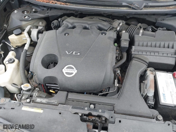 2010 Nissan Maxima 3.5 SV with VIN 1N4AA5APXAC823597, listed as a IAAI auction lot 41970712 with 217,610 mi miles. Bid and sale history available at carsss.com. Image 10.