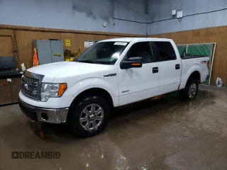 2014 Ford F-150 XL with VIN 1FTFW1ET1EFB12974, listed as a Copart auction lot 52802955 with 168,711 mi miles and Clean Title. Bid and sale history available at carsss.com. Image 1.
