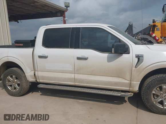 2021 Ford F-150 XL with VIN 1FTEW1EP1MKD07980, listed as a IAAI auction lot 42074902 with 170,631 mi miles. Bid and sale history available at carsss.com. Image 13.