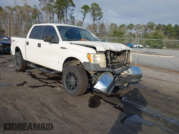 2013 Ford F-150 XL with VIN 1FTFW1EF1DKD13578, listed as a IAAI auction lot 41590263 with 192,230 mi miles and . Bid and sale history available at DreamBid. Image 1.