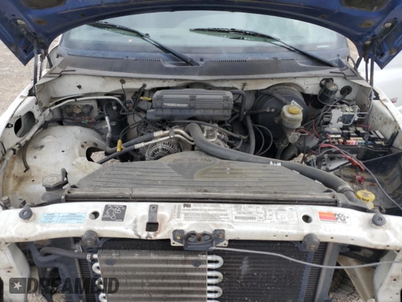 2001 Dodge 1500 z VIN 1B7HC13Z61J605436, wystawiony jako Copart lot #54539475 z przebiegiem 212 845 mil mil oraz Szkoda całkowita • Salvage title. Historia ofert i sprzedaży dostępna na DreamBid. Obrazek 11.