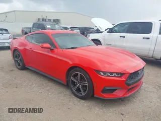 2024 Ford Mustang EcoBoost with VIN 1FA6P8TH7R5106652, listed as a IAAI auction lot 42152289 with 33,925 mi miles and . Bid and sale history available at DreamBid. Image 1.
