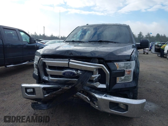 2017 Ford F-150 XL with VIN 1FTEW1EP0HKD12237, listed as a IAAI auction lot 41815013 with 60,167 mi miles. Bid and sale history available at carsss.com. Image 6.