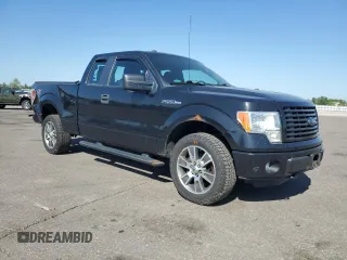 2014 Ford F-150 XL with VIN 1FTFX1EF2EFC72126, listed as a Copart auction lot 56634465 with 193,838 mi miles and Non repairable. Bid and sale history available at DreamBid. Image 4.