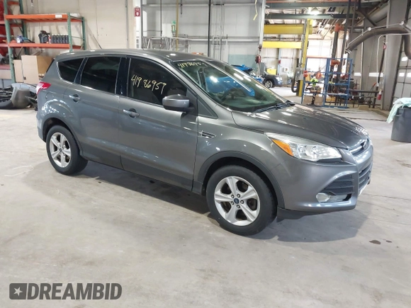 2014 Ford Escape SE with VIN 1FMCU9G99EUC45854, listed as a IAAI auction lot 41986959 with 124,591 mi miles. Bid and sale history available at carsss.com. Image 1.