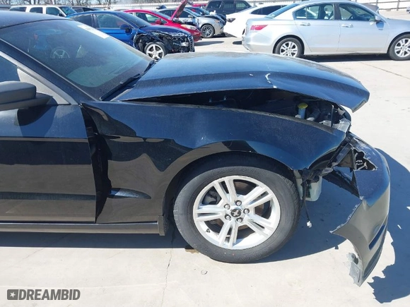 2013 Ford Mustang V6 with VIN 1ZVBP8AM8D5259572, listed as a IAAI auction lot 41655526 with 42,753 mi miles. Bid and sale history available at carsss.com. Image 20.