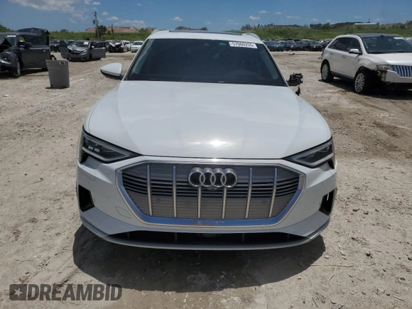 2019 Audi e-tron Prestige with VIN WA1VAAGE0KB013133, listed as a Copart auction lot 57060255 with 50,222 mi miles and Salvage title. Bid and sale history available at DreamBid. Image 5.