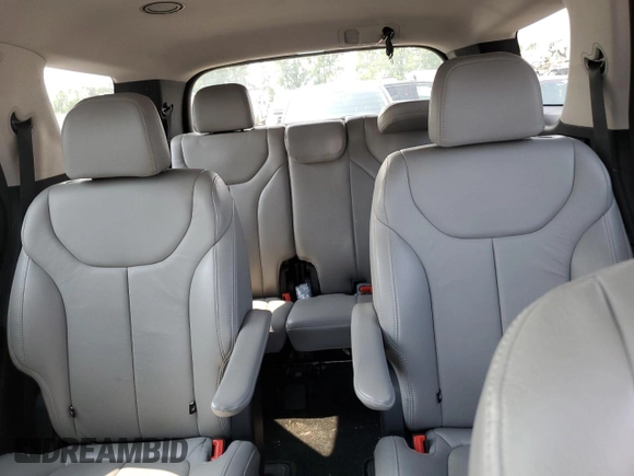 2020 Hyundai Palisade SEL with VIN KM8R2DHE0LU069644, listed as a Copart auction lot 59592405 with 78,198 mi miles and Salvage title. Bid and sale history available at DreamBid. Image 10.