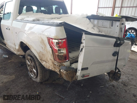 2019 Ford F-150 XL with VIN 1FTEW1CP7KKC75312, listed as a IAAI auction lot 41271422 with 135,228 mi miles and . Bid and sale history available at carsss.com. Image 19.