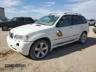 2002 BMW X5 4.4i with VIN 5UXFB33512LH33903, listed as a Copart auction lot 78229434 with 0 mi miles and Salvage Title. Bid and sale history available at carsss.com. Image 1.