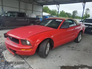 2008 Ford Mustang Deluxe with VIN 1ZVHT84N885153378, listed as a Copart auction lot 58398015 with 241,030 mi miles and Salvage title. Bid and sale history available at DreamBid. Image 1.