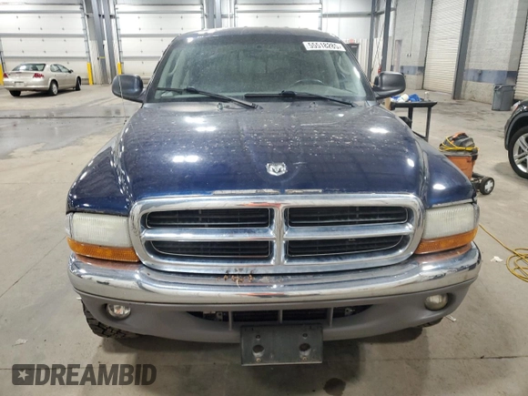 2004 Dodge Dakota SLT with VIN 1D7HG48N74S729943, listed as a Copart auction lot 55518285 with 179,191 mi miles and Clean Title. Bid and sale history available at carsss.com. Image 5.