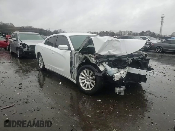 2015 Dodge Charger SE with VIN 2C3CDXBG1FH840253, listed as a Copart auction lot 44341075 with 192,206 mi miles and Salvage Title. Bid and sale history available at carsss.com. Image 10.