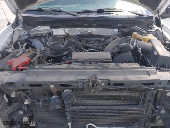 2013 Ford F-150 XL with VIN 1FTFW1EF3DFB26755, listed as a IAAI auction lot 41888243 with 231,078 mi miles. Bid and sale history available at carsss.com. Image 10.