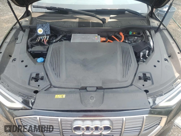 2019 Audi e-tron Prestige with VIN WA1VAAGE8KB008858, listed as a Copart auction lot 56161725 with 123,111 mi miles and Clean title. Bid and sale history available at DreamBid. Image 12.